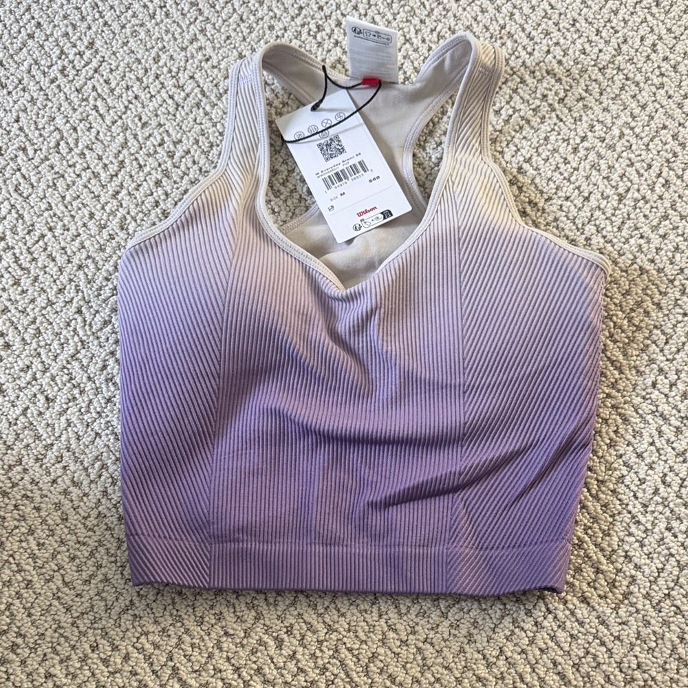Seamless Ombre Ribbed crop